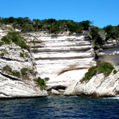 Corsica - Palombaggia (7)