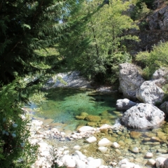 Corsica - Vallee de la Restonica (1)