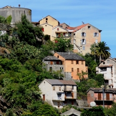 Corsica - Vallee du Niolo (17)