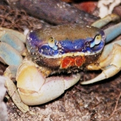 Costa Rica (13)