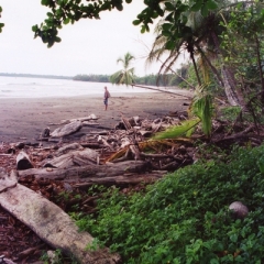 Costa Rica (30)