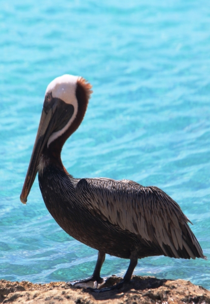 Curacao (3)