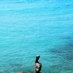Curacao (4)