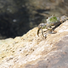 Curacao (45)