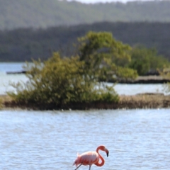 Curacao (53)