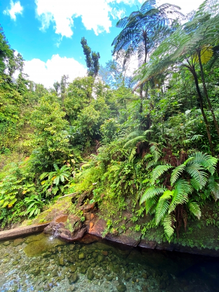 Dominica-104