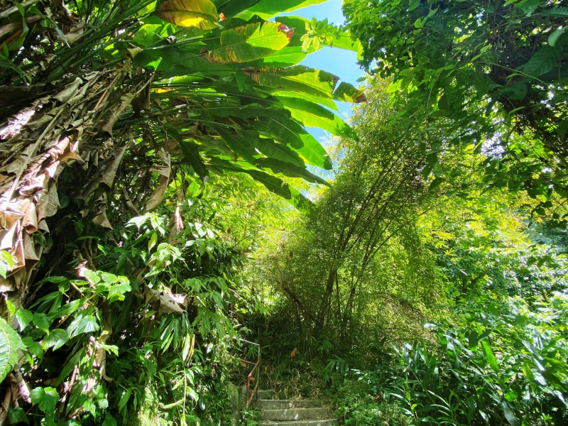 Dominica-26