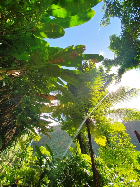 Dominica-28