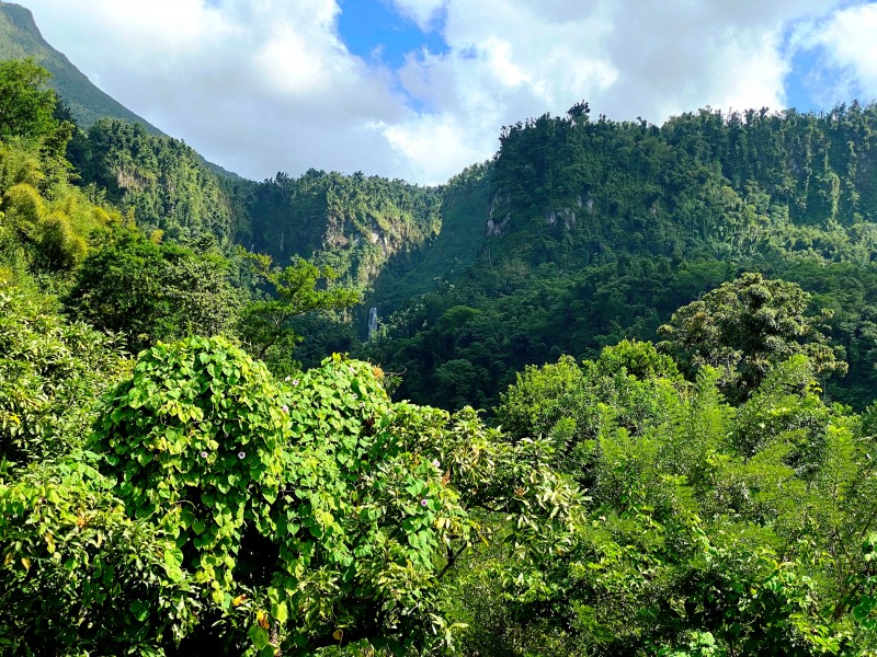 Dominica-44