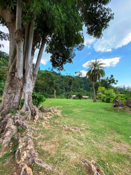Dominica-86