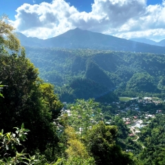 Dominica-100