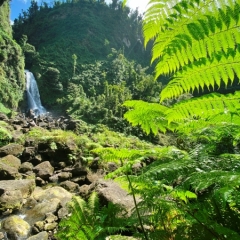 Dominica-18