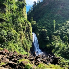 Dominica-34