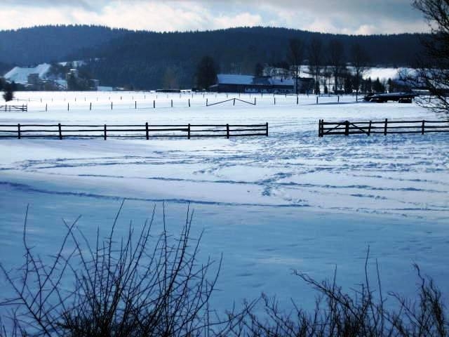 Duitsland (113)