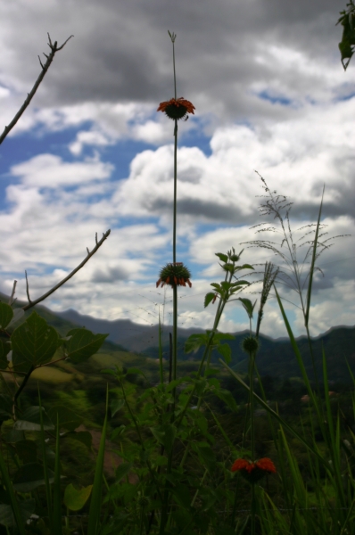 Ecuador (108)