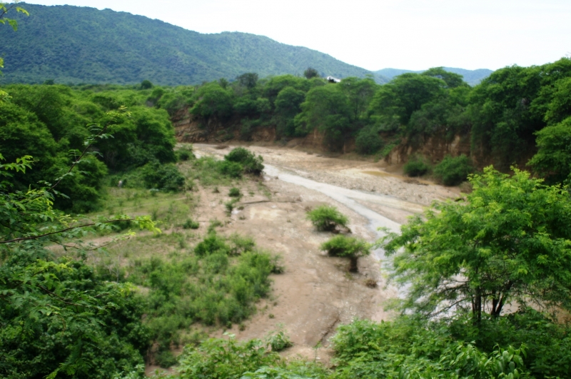 Ecuador (121)