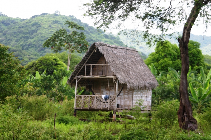 Ecuador (124)
