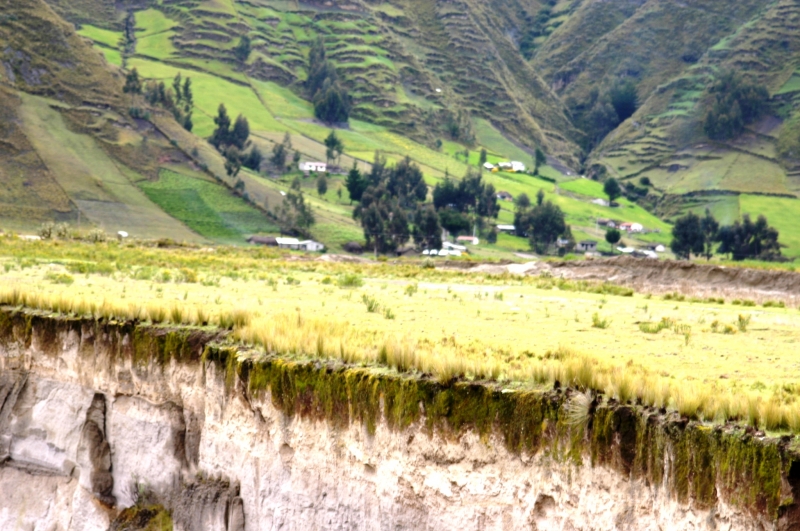 Ecuador (130)