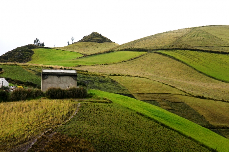 Ecuador (131)
