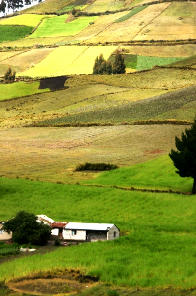 Ecuador (133)