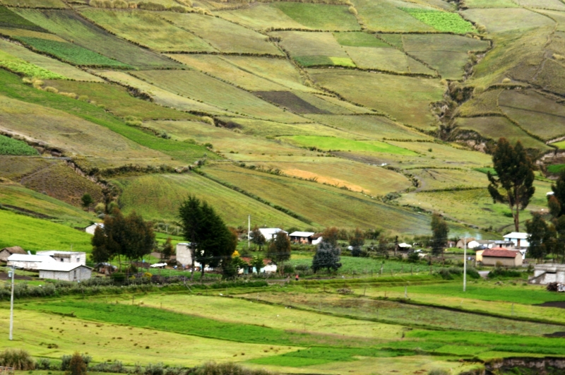 Ecuador (134)