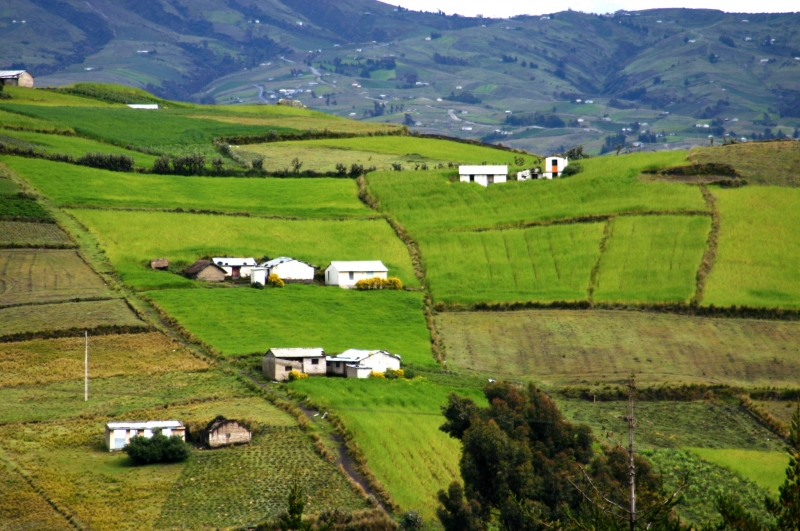 Ecuador (136)