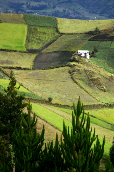 Ecuador (138)