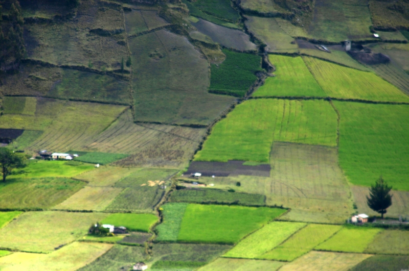 Ecuador (143)