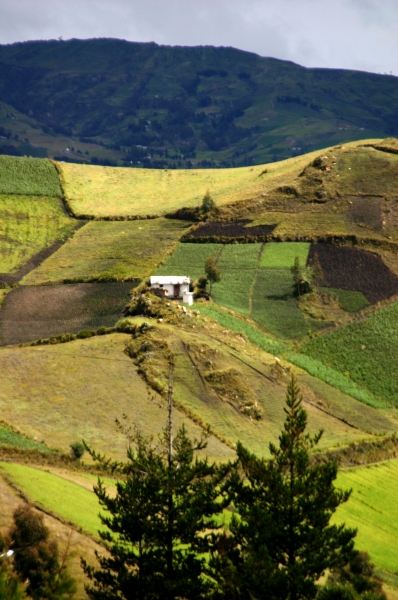 Ecuador (144)