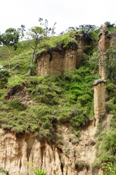 Ecuador (199)