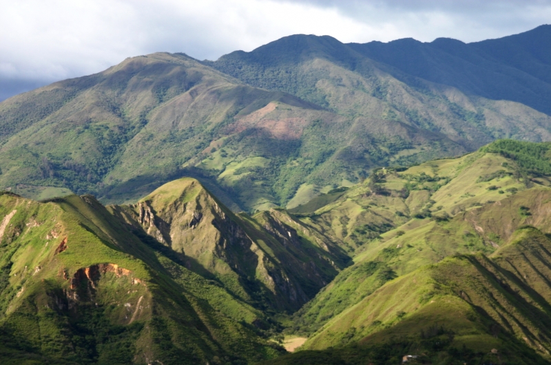 Ecuador (203)