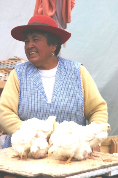 Ecuador (241)