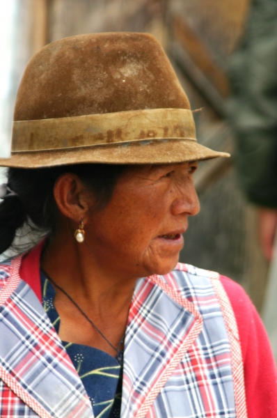 Ecuador (242)