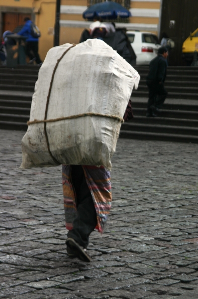 Ecuador (246)