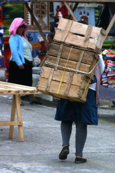 Ecuador (254)