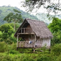 Ecuador (124)