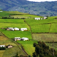 Ecuador (136)