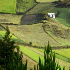 Ecuador (138)