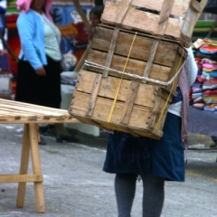 Ecuador (254)