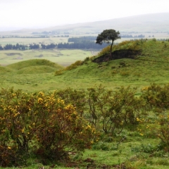 Ecuador (7)