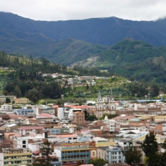 Ecuador (84)