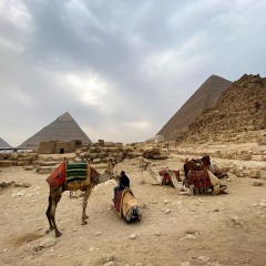 Egypte-374