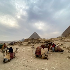 Egypte-375