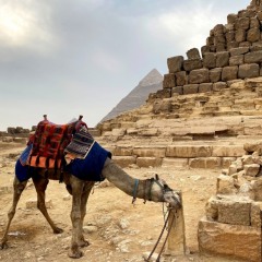 Egypte-378