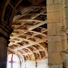France - Loire (4)