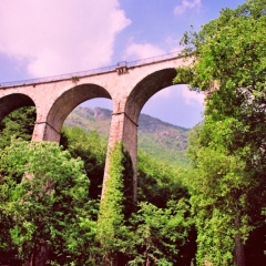 France - en Aix en Provence (8)