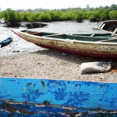 Gambia (10)