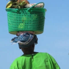 Gambia (17)