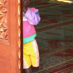 Gambia (28)