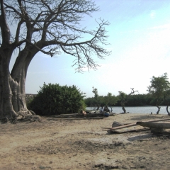 Gambia (9)